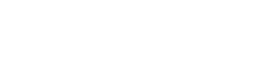 Fortis Logo