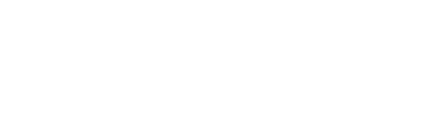 Mount Elizabeth Logo